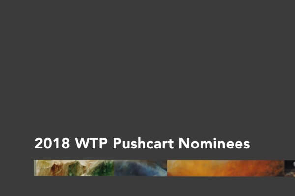 2018 Pushcart Nominations