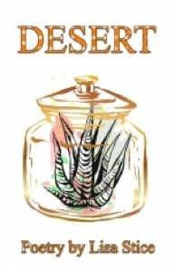 Desert by Lisa Stice Cover