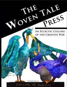 The Woven Tale Press Vol. III #1 magazine cover