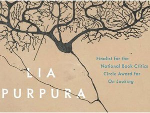 All the Fierce Tethers by Lia Purpura book cover