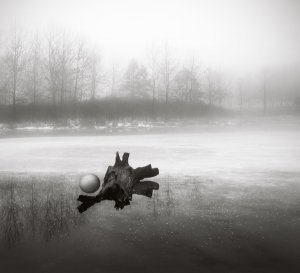 Chehalis Hegner, "Fallen Soldier Sheltering Juvenile Planet" photograph