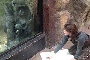 Jen Bradley working with gorillas at the Franklin Park Zoothe