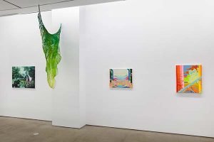 Installation Plastic Garden, Asya Geisberg Gallery