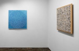 Exhibition Installation L: Allison Paschke, pinfield: blue sand around ips R: Wendy Wahl, Alternative Flora #8