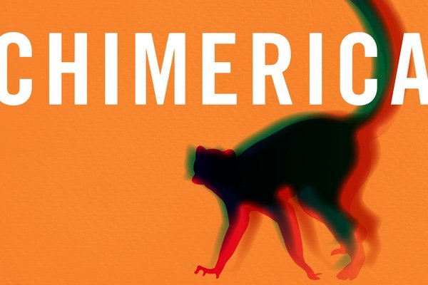 CHIMERICA by Anita Felicelli