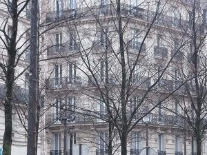 A photograph of a building in Paris with dead trees in the foreground