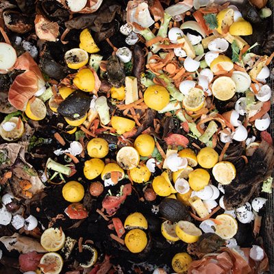 A photograph of composting lemons, eggs, and avocados