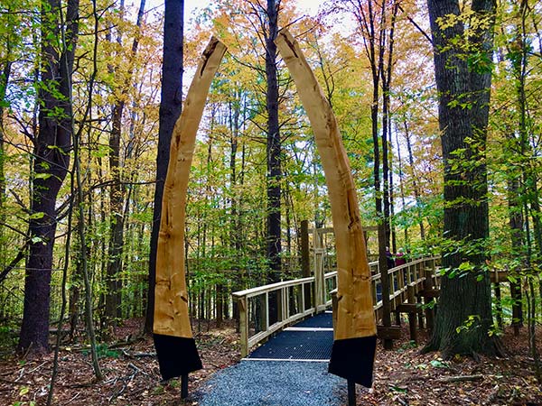 A sculpture made from a tree halved, with each arm leaning towards the other, as the entryway to a bridge