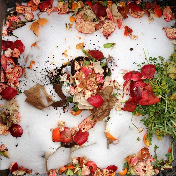 A photograph of composted pomegranates in the snow