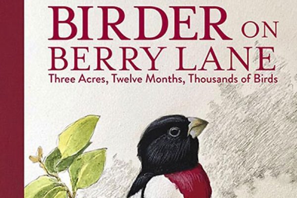 Cover of Birder on Berry Lane by Robert Tougias
