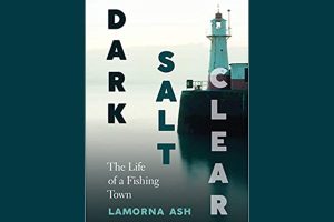 Cover of Dark, Salt, Clear by Lamorna Ash