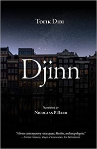 Cover of Djinn by Tofik Dibi