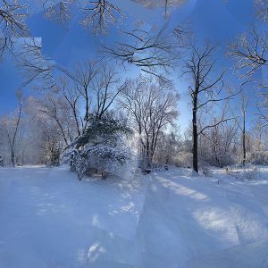 a photocollage of a wintry day