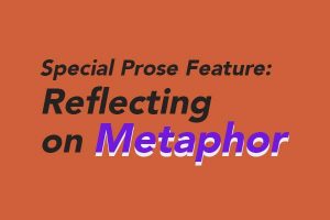 Reflecting on Metaphor