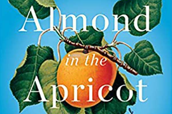 The Almond in the Apricot illustrates how grief can open a heart to sensations normally overlooked—and possibly lead to wormholes bending space-time.