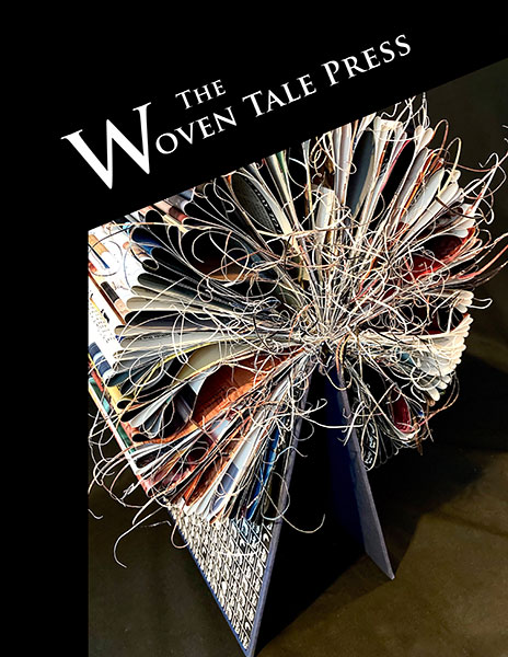Cover of The Woven Tale Press Vol. X #2