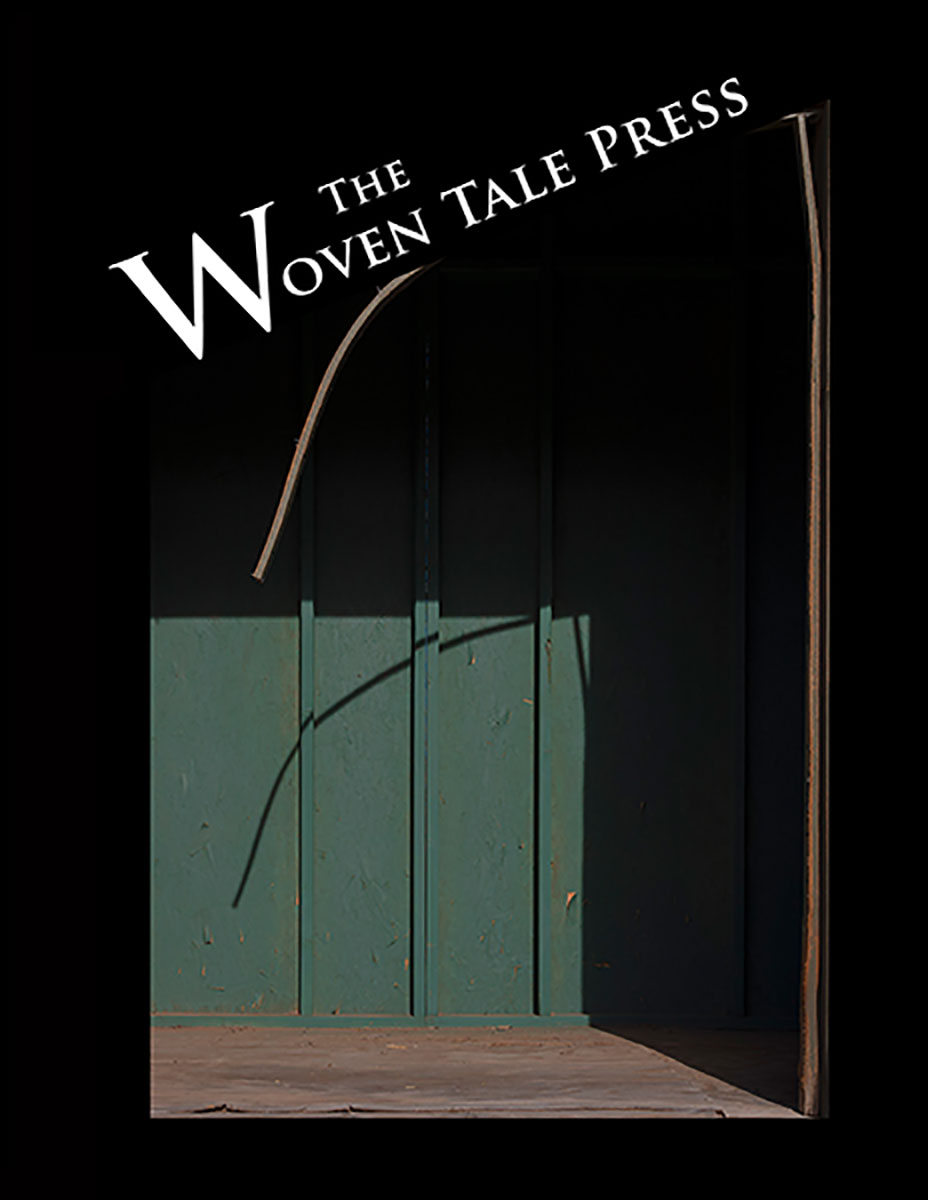 Woven Tale Press Cover Vol. XI #3 with art by Natalie Christensen