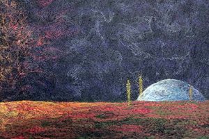 felted fiberwork by artist Shea Wilkinson