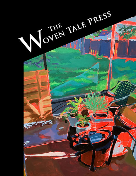 cover of WTP Vol. XI #4 with art by cover art by Janessa Douds