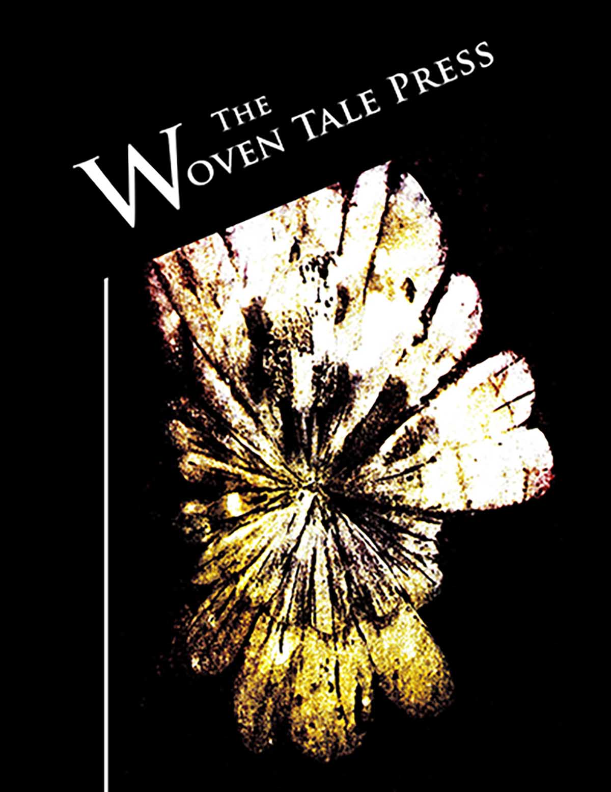 WTP Vol XIV #1 cover art by Rachel Singel